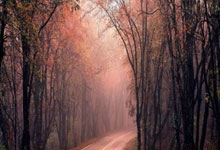 88直播:欧联杯夺冠赔率:毕包4.33领跑,曼联第二,热刺、拉齐奥第三.