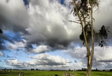 刘圣书/谭宁淘汰日本组合 闯入中国羽毛球大师赛女双决赛央视新闻客户端.