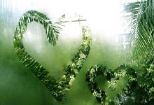 88直播：[CBA]季后赛4月18日：辽宁VS深圳 赵继伟集锦.