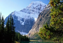 足总将免费接送球迷往返吉隆坡支持我国雄狮队.