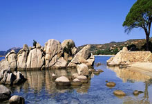 88直播：[NBA]常规赛3月30日：湖人VS灰熊 莫兰特集锦.